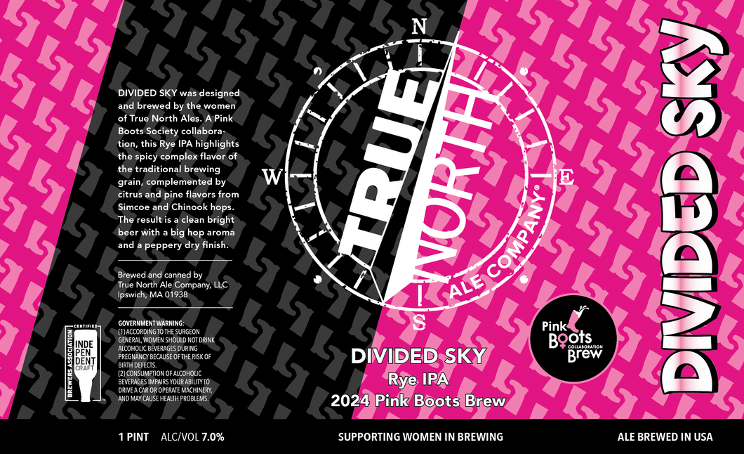 Divided Sky - Kicked!