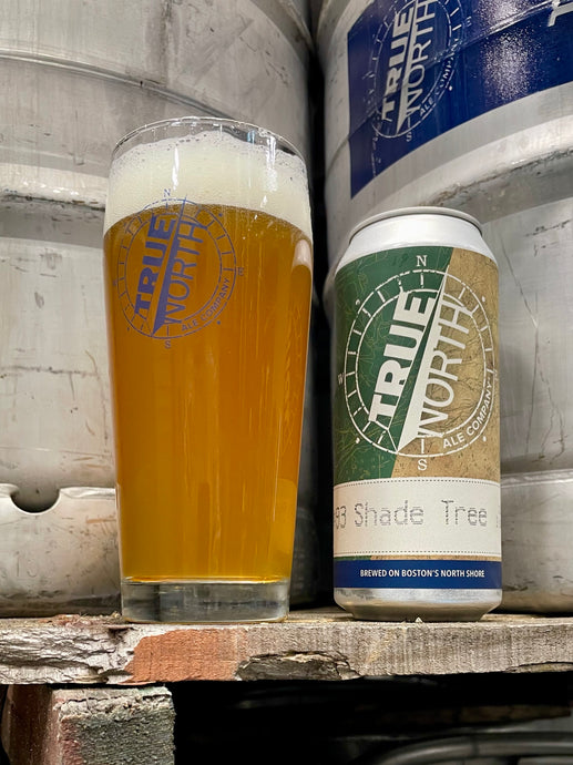 Shade Tree - Explorer Series #93 - Kicked!