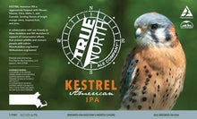 Kestrel - Kicked!