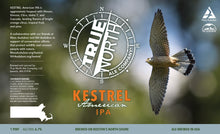 Kestrel - Kicked!