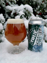 Winter Woods - Kicked!